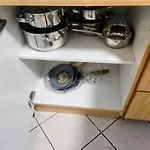 Pensjonat Penthouse Mit 4 Zimmern, 10 Betten, Bad, Wc, Kueche Und Terrasse Karlsbad