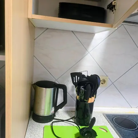 Penthouse Mit 4 Zimmern, 10 Betten, Bad, Wc, Kueche Und Terrasse * Karlsbad
