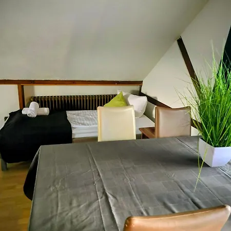Penthouse Mit 4 Zimmern, 10 Betten, Bad, Wc, Kueche Und Terrasse * Karlsbad