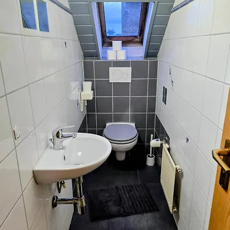 Penthouse Mit 4 Zimmern, 10 Betten, Bad, Wc, Kueche Und Terrasse Affittacamere Karlsbad